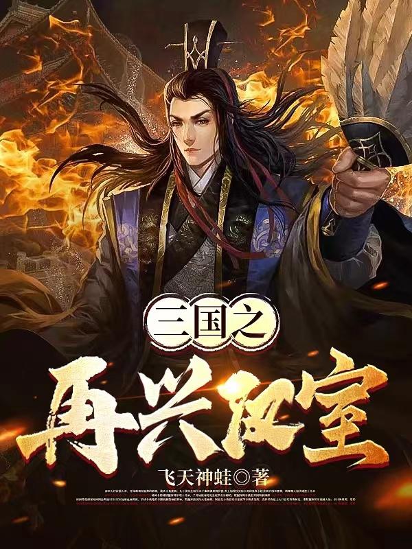 三国之再续雄汉123